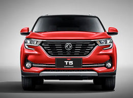 T5