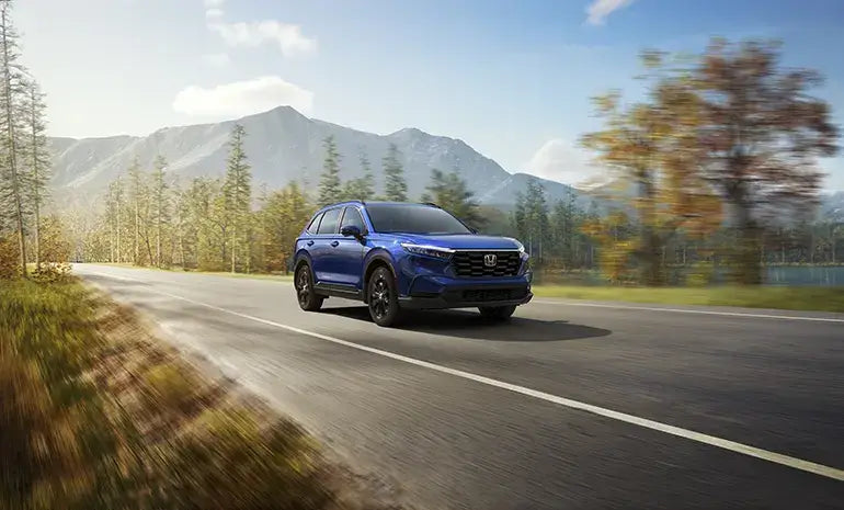 Líneas deportivas y diseño robusto