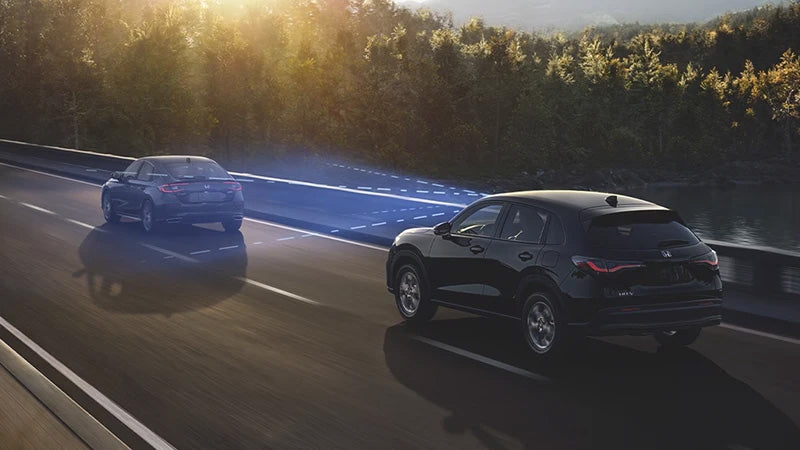 CONTROL AUTOMÁTICO DE CRUCERO ADAPTABLE